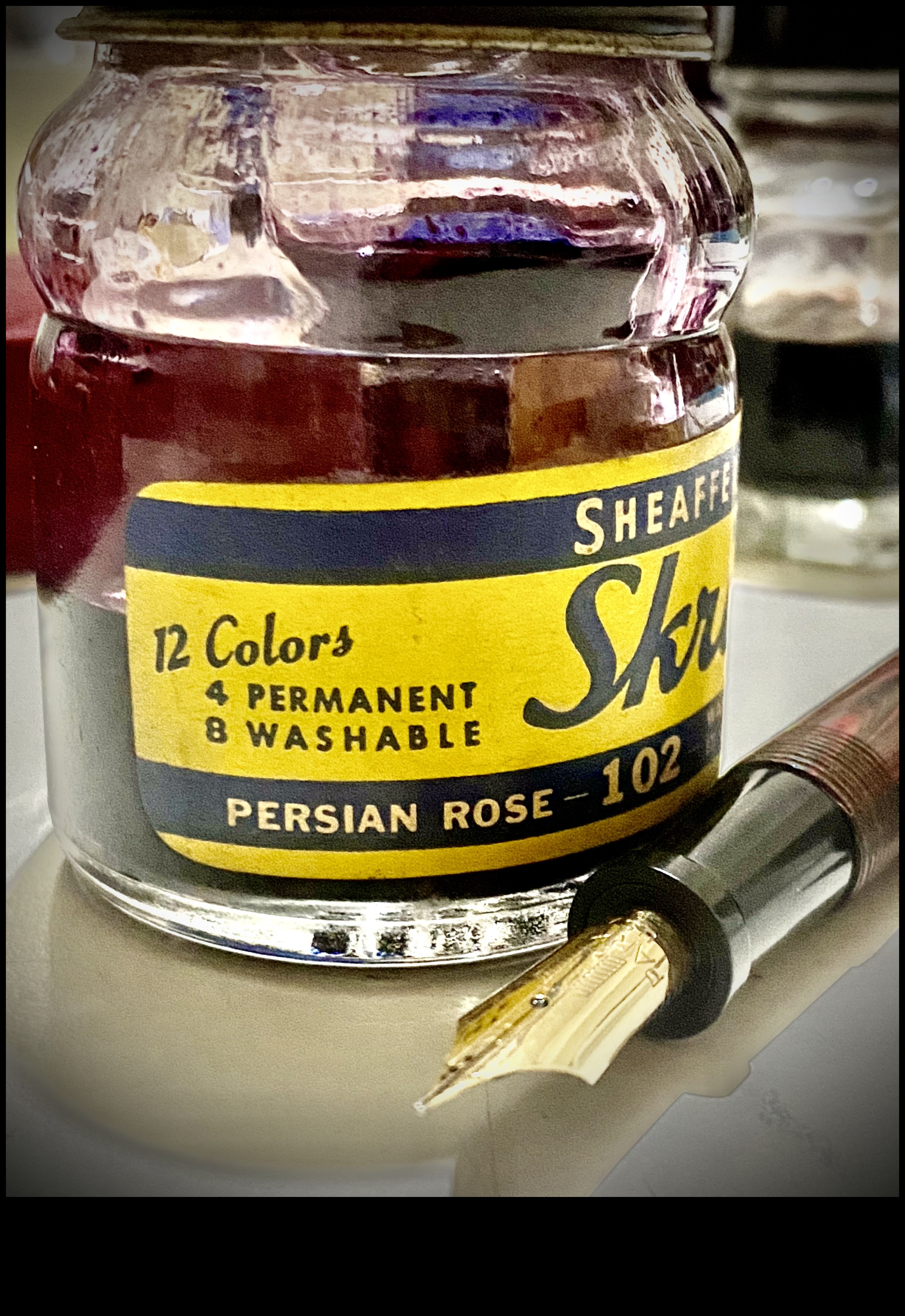 Ink Chronicles: Narratives Crafted on Your Back