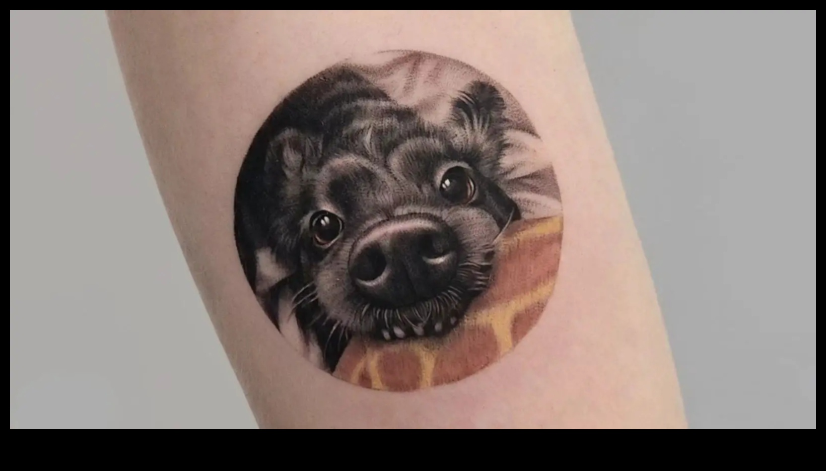 סיפורי פרווה: חשיפת סיפורי קעקוע בעלי חיים