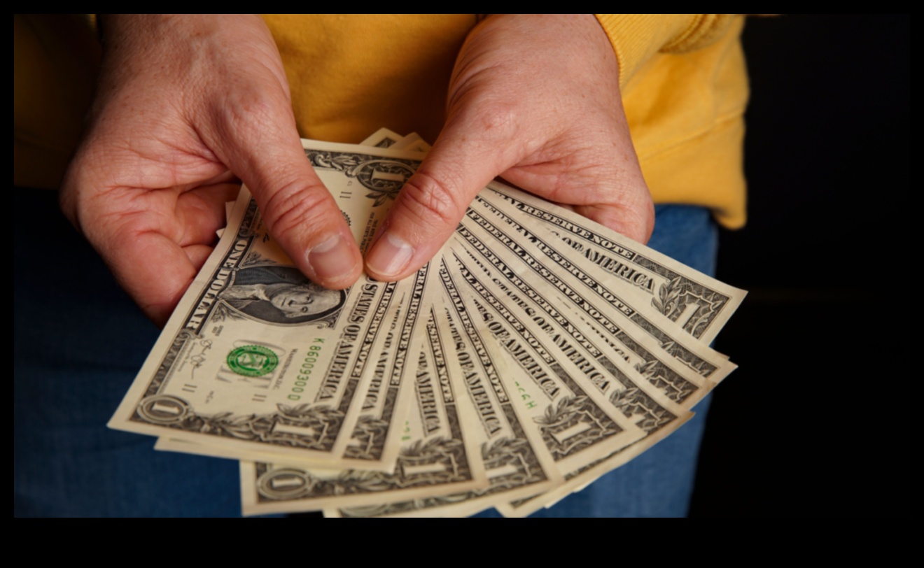 תגליות דיים: חשיפת פלאים ידידותיים לתקציב