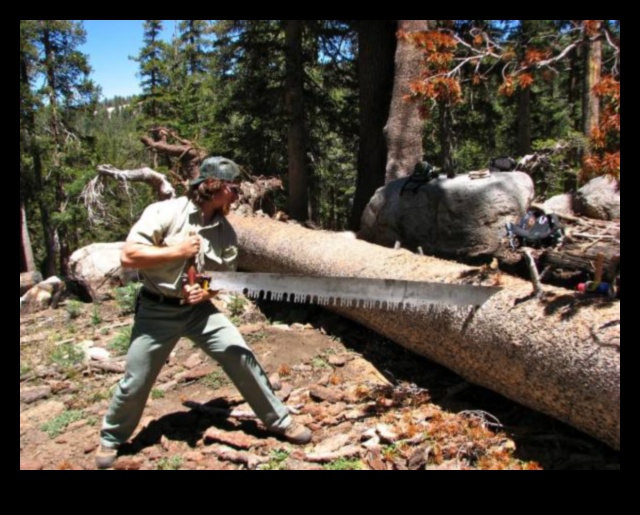 אימוני שממה: תרגילי חוץ בנופים לא מאולפים