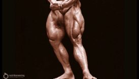 Legends of Leg Day: שחרור כוחם של תרגילים אפקטיביים