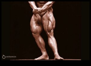 Legends of Leg Day: שחרור כוחם של תרגילים אפקטיביים