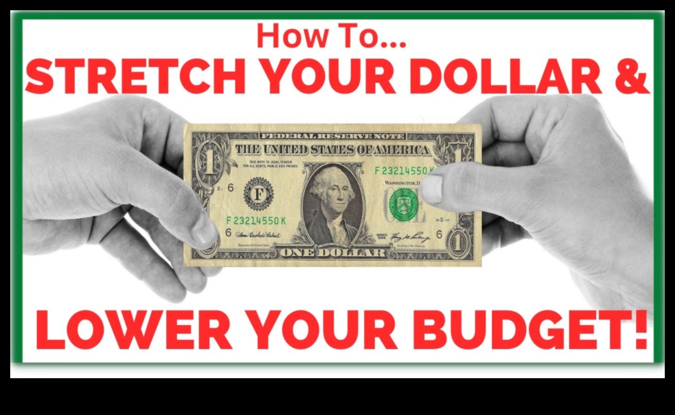 תגליות דיים: חשיפת פלאים ידידותיים לתקציב