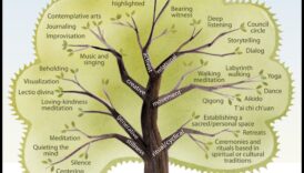 נתיבים של התבוננות: מפה היסטורית של מדיטציה