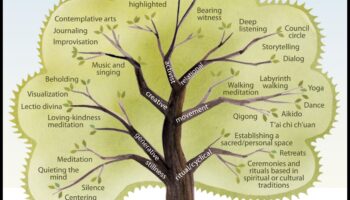 נתיבים של התבוננות: מפה היסטורית של מדיטציה