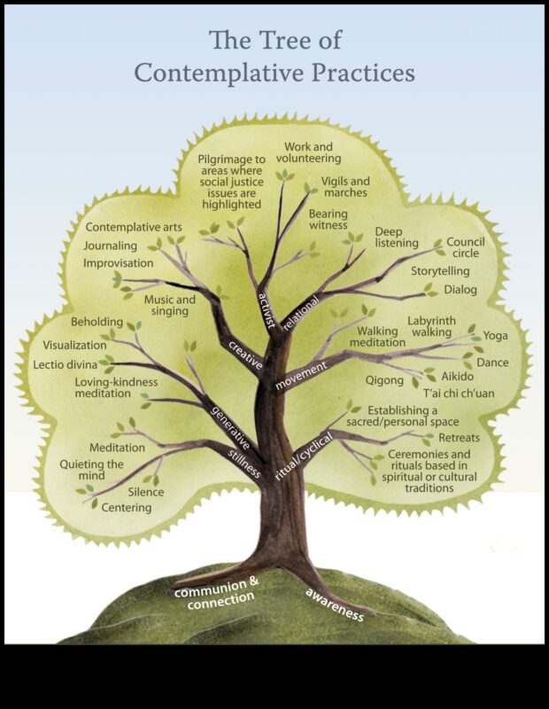 נתיבים של התבוננות: מפה היסטורית של מדיטציה