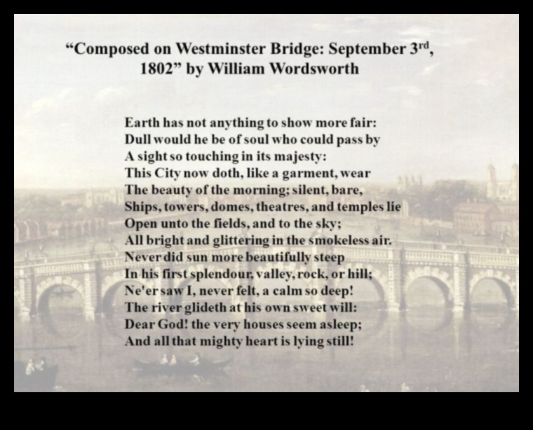 סונטות סיור: שירה בשפת ההשקפות