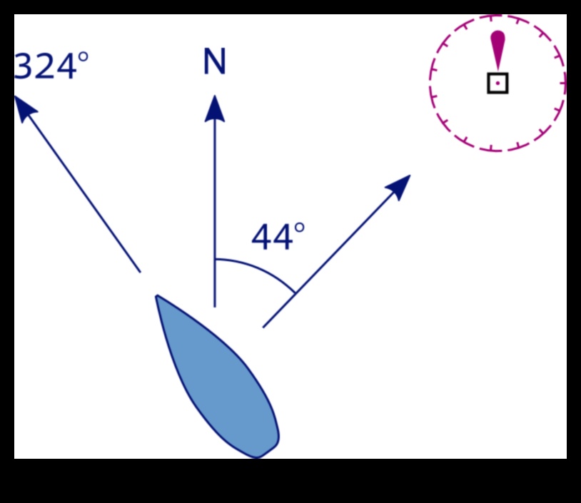 קורסים בתרשים: ניווט בדייקנות